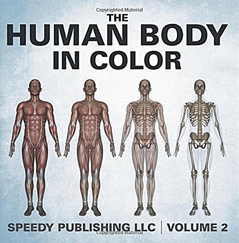 The Human Body in Color Volume 2 (Paperback)