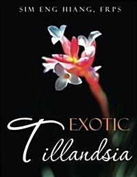 Exotic Tillandsia (Paperback)