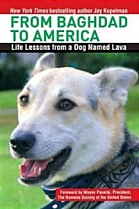 From Baghdad to America: Life Lessons from a Dog Named Lava (Hardcover)
