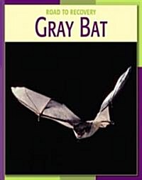 Gray Bat (Library Binding)