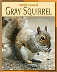 Gray Squirrel (Library Binding)
