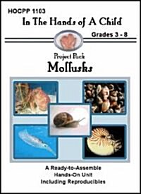 Mollusks (Spiral)