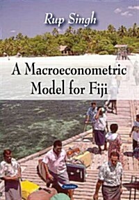 A Macroeconometric Model for Fij (Paperback)