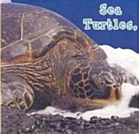 [중고] Sea Turtles, What Do You Do? (Board Book)