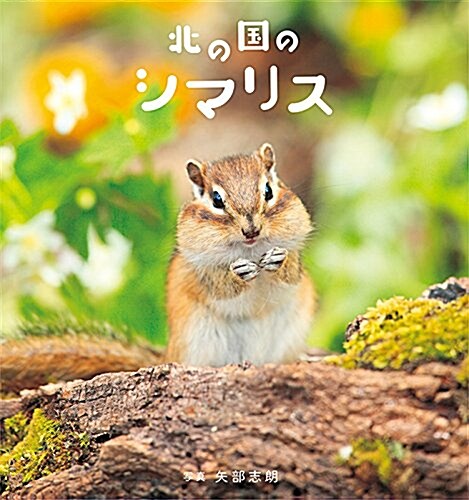 北の國のシマリス (單行本(ソフトカバ-))