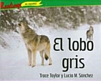 El lobo gris / The Gray Wolf (Paperback)