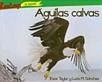 Aguilas calvas / Bald Eagles (Paperback)