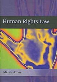 Human Rights Law (Hardcover)