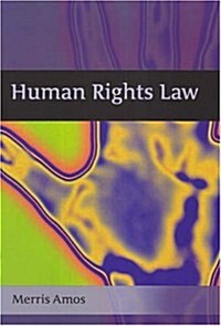 Human Rights Law (Paperback)