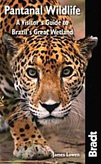Pantanal Wildlife : A Visitors Guide to Brazils Great Wetland (Paperback)