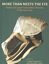 More Than Meets the Eye : Studies on Upper Palaeolithic Diversity in the Near East (Hardcover)