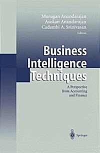 Business Intelligence Techniques: A Perspective from Accounting and Finance (Paperback)