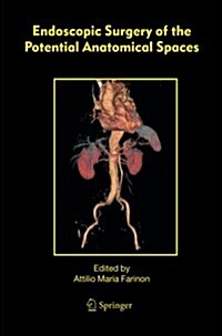 Endoscopic Surgery of the Potential Anatomical Spaces (Paperback)