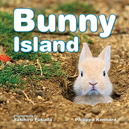 Bunny Island (Hardcover)