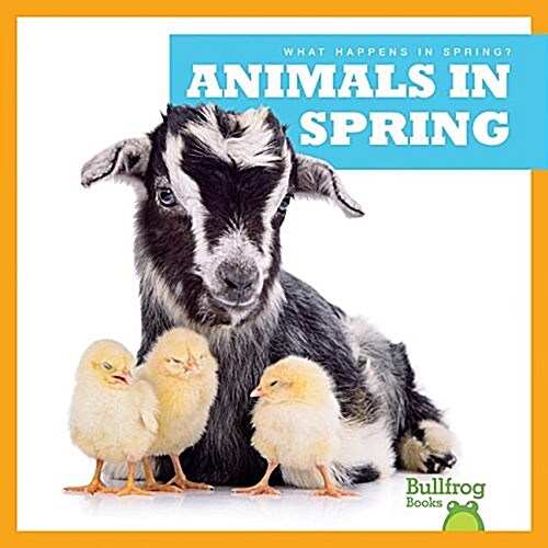 Animals in Spring (Hardcover)
