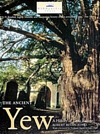 The Ancient Yew : A HISTORY OF TAXUS BACCATA (Paperback, 3 ed)