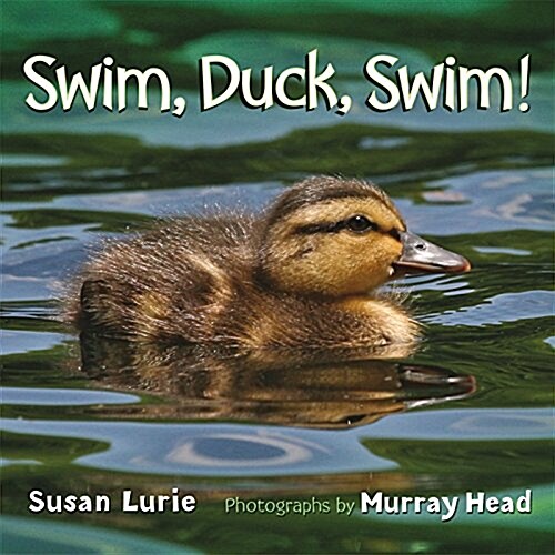 Swim, Duck, Swim! (Board Books)