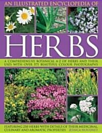 An Illustrated Encyclopedia of Herbs : A Comprehensive A-Z of Herbs and Their Uses (Paperback)