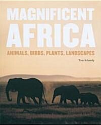 Magnificent Africa (Hardcover)