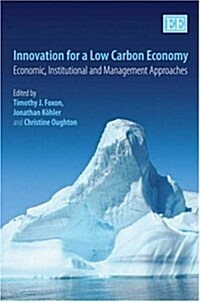 Innovation for a Low Carbon Economy : Economic, Institutional and Management Approaches (Hardcover)