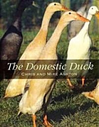The Domestic Duck (Paperback, New)