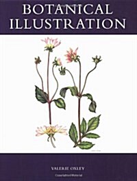Botanical Illustration (Paperback)