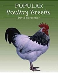 Popular Poultry Breeds (Hardcover)