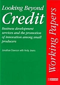 Looking Beyond Credit : Business Development Services and the Promotion of Innovation Among Small Producers (Paperback)