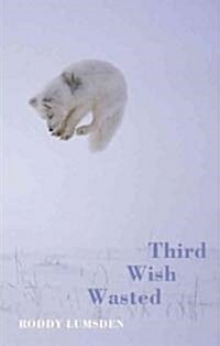 Third Wish Wasted (Paperback)