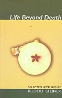 Life Beyond Death (Paperback)