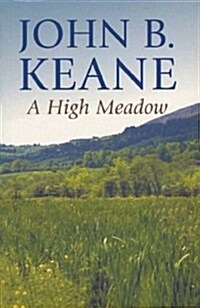 High Meadow (Paperback)