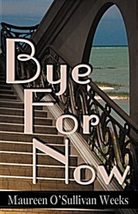 Bye for Now (Paperback)