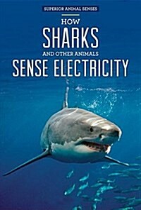 How Sharks and Other Animals Sense Electricity (Library Binding)