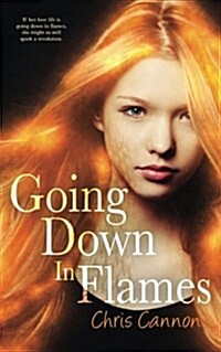 Going Down in Flames (a Going Down in Flames Novel) (Paperback)