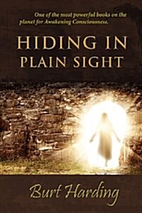 Hiding in Plain Sight (Paperback)