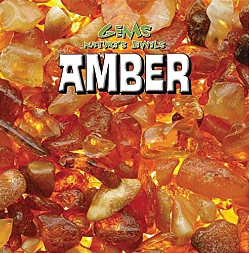 Amber (Library Binding)