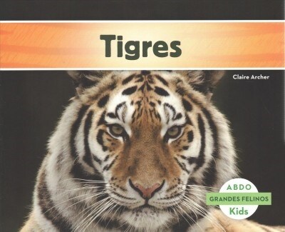 Tigres (Paperback)