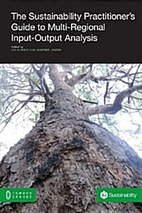 The Sustainability Practitioners Guide to Multi-Regional Input-Output Analysis (Paperback)