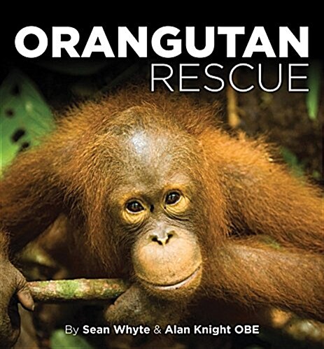 Orangutan Rescue : Saving Borneos Orangutans (Hardcover)