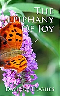 The Epiphany of Joy (Paperback)