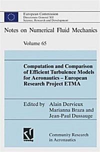 Computation and Comparison of Efficient Turbulence Models for Aeronautics European Research Project Etma (Hardcover, 1998)