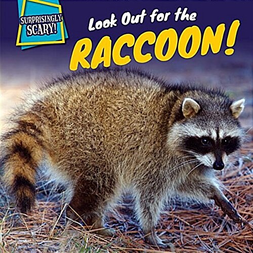 Look Out for the Raccoon! (Library Binding)