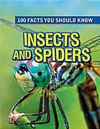 Insects and Spiders (Paperback)