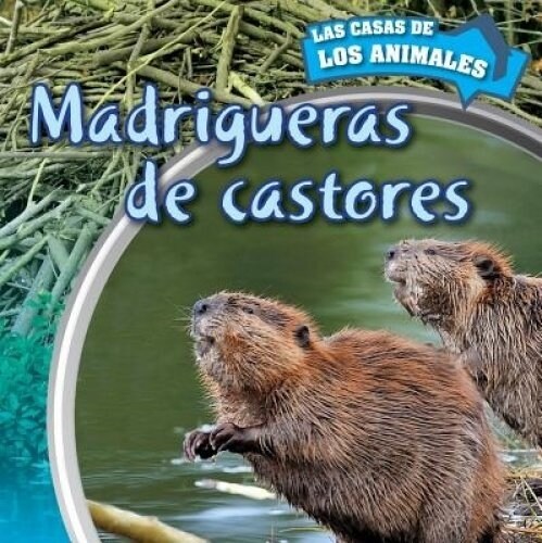 Madrigueras de Castores (Inside Beaver Lodges) (Library Binding)