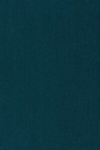 Bounded rationality and economic evolution : a contribution to decision making, economics, and management