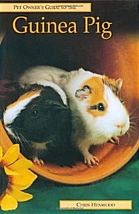 Guinea Pig (Hardcover)
