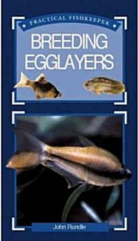 Breeding Egglayers (Hardcover)