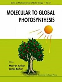 Molecular to Global Photosynthesis (Hardcover)