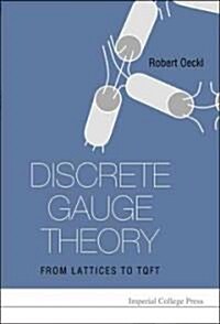 Discrete Gauge Theory: From Lattices To Tqft (Hardcover)