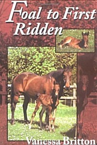 Foal to First Ridden: A Common Sense Approach to Breeding and Training a Foal (Paperback)